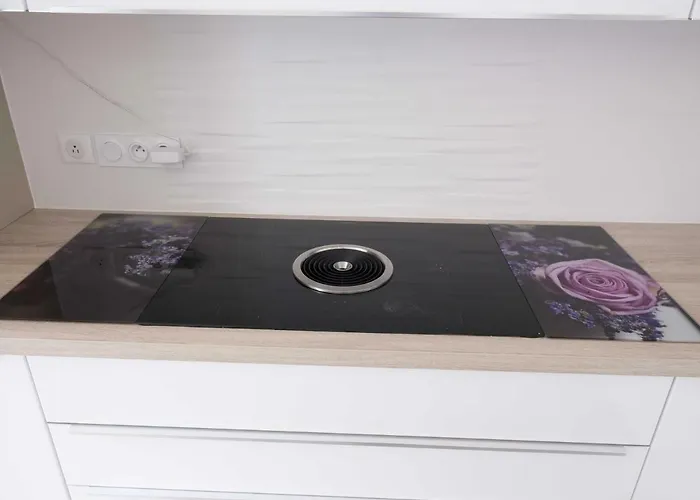 Sasha'S Place 68M3 Appartement Beaune Centre Moderne 4* Beaune (Cote d'Or)